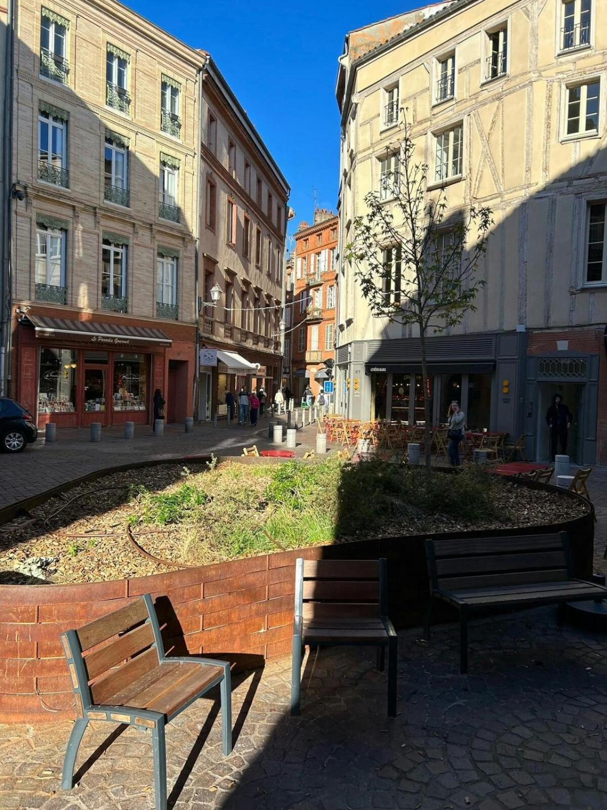 T1Bis-Cosy-Place Salengro-Metro Toulouse Dış mekan fotoğraf